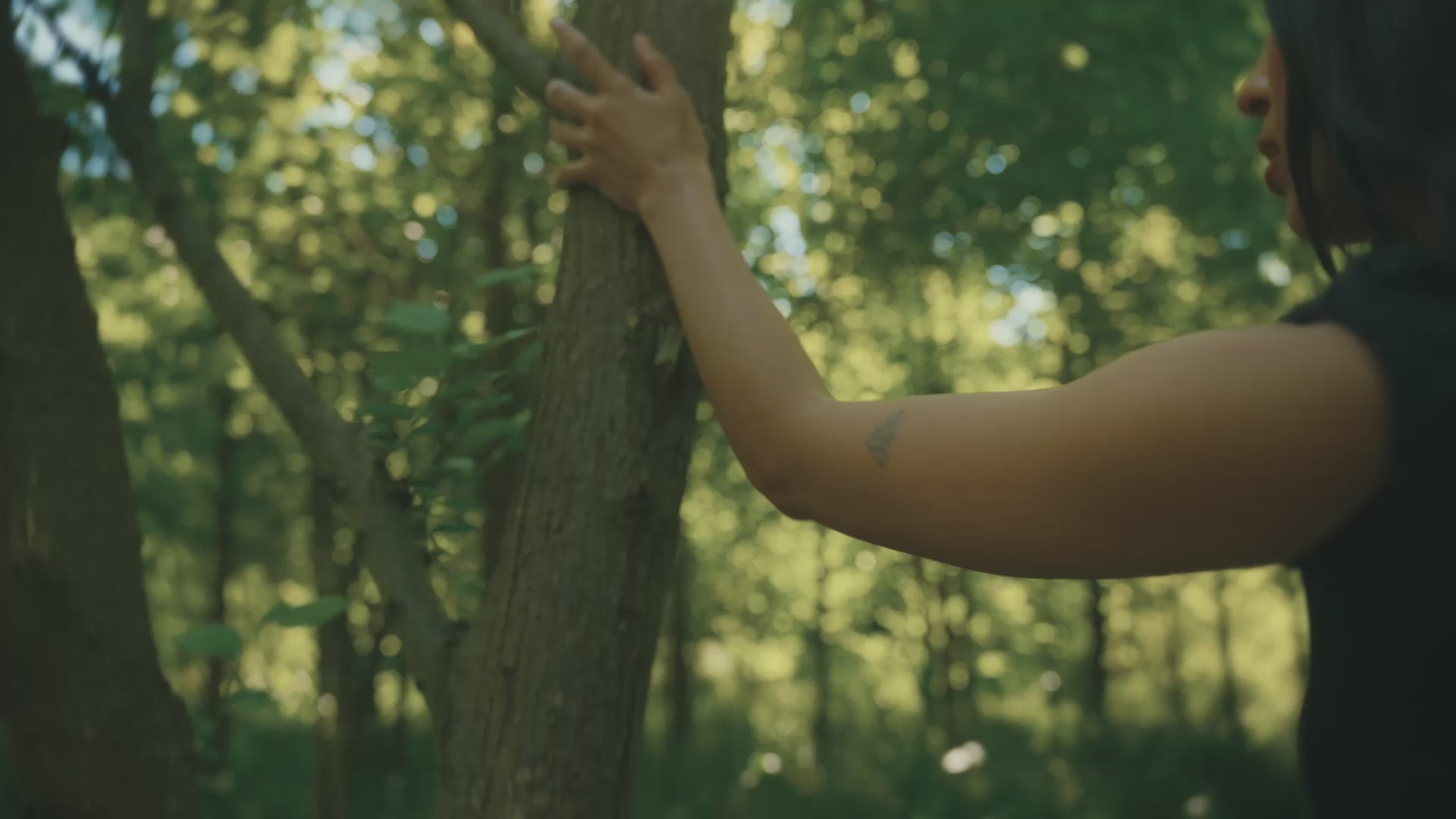 Cargar video: 
